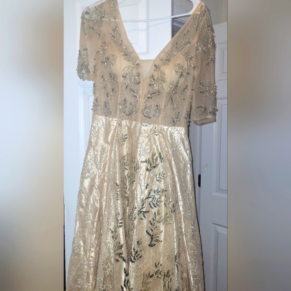 Quincera/Prom dress